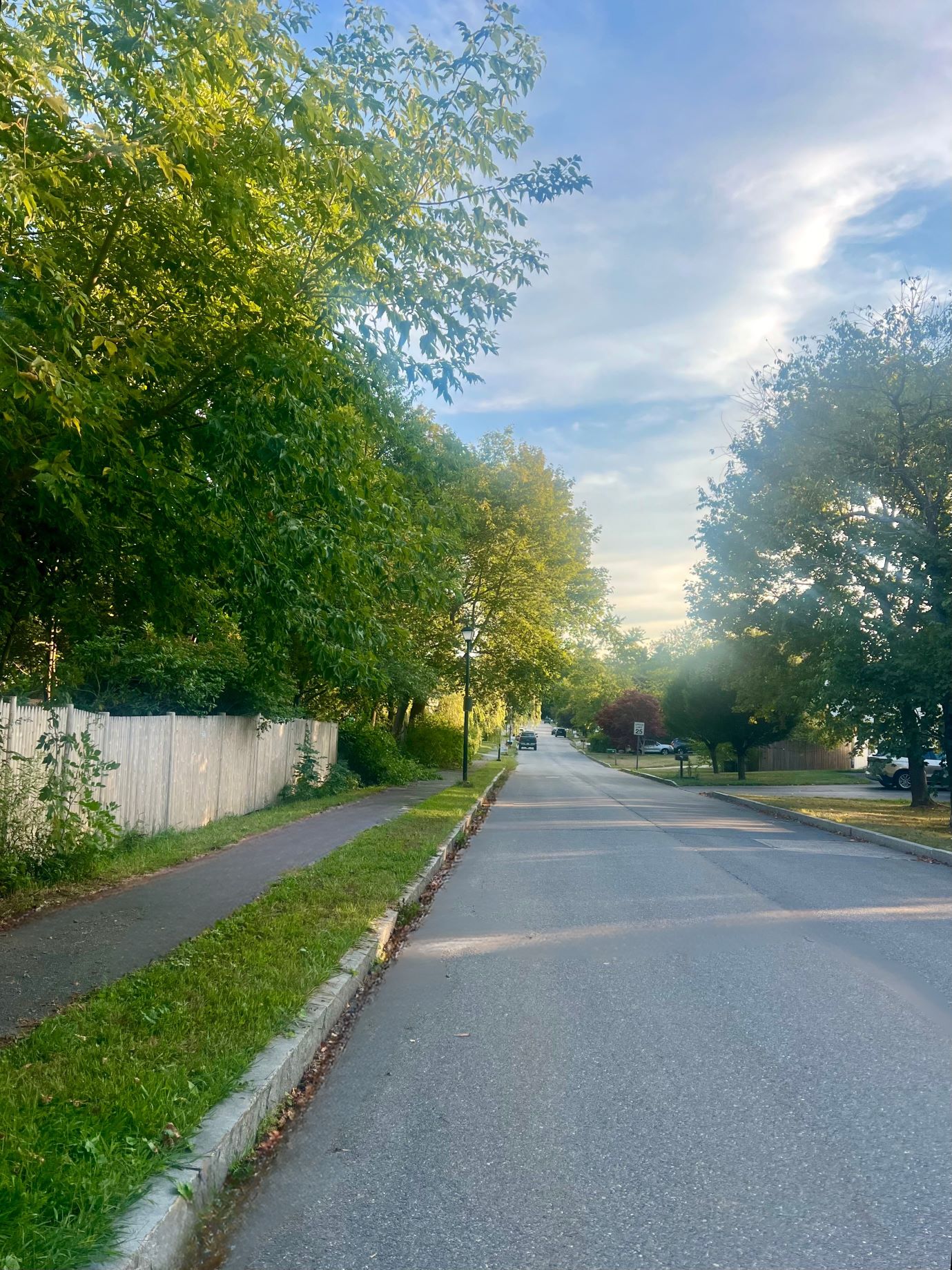 Quiet residential streets with trees and character